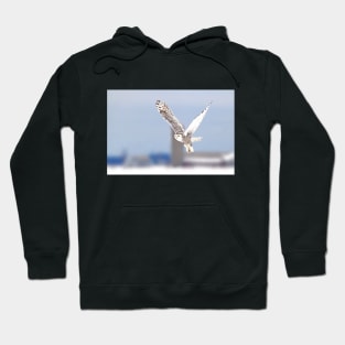 Along a country road - Snowy Owl Hoodie